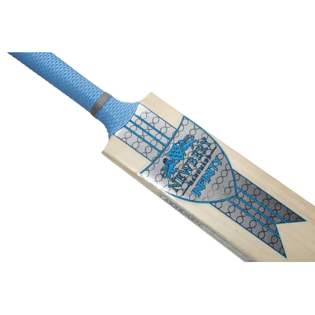Batte de cricket junior Newbery Infinity Kashmir (2020)
