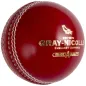 Grijze Nicolls Crest Academy Cricket Ball (2020)