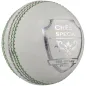 Grey Nicolls Crest Special Cricket Ball - White (2020)