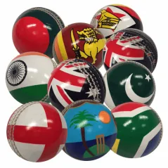 Bola de bandera suave del condado de Hunts - India - Pelotas de