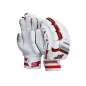 SF Summit Players Cricket Gloves (2019)