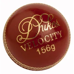 Dukes Velocity Cricket Ball