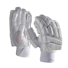 Chase R11 Cricket Gloves (2024)