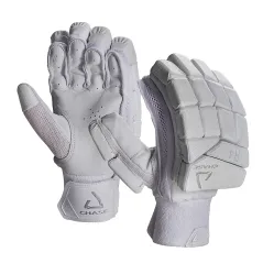 Chase R4 Cricket-handschoenen (2020)