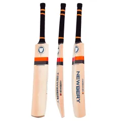 Newbery The Master 100 5 Star Junior Cricket Bat (2023)