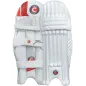 Hunts County Insignia Cricket Pads (2024)
