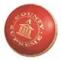 Lettori County Supreme A WOMENS Cricket Ball