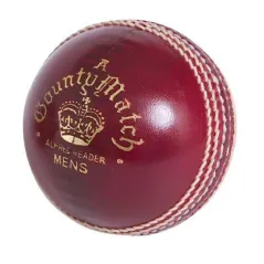 Condado de lectores Match A Cricket Ball