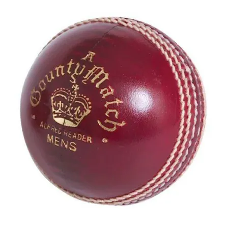 Readers County Match Ein Cricketball