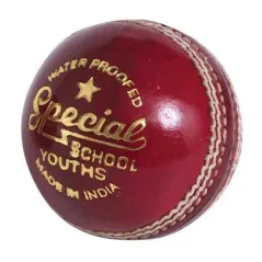 Leser Sonderschule JUNIOR Cricket Ball