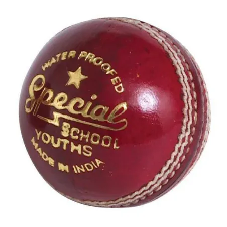 Lettori Special School JUNIOR Cricket Ball