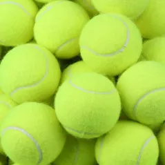 Feed Buddy Tennis Balls (pack of 6)