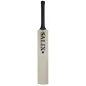 Salix AJK Players Cricket Bat (2022)