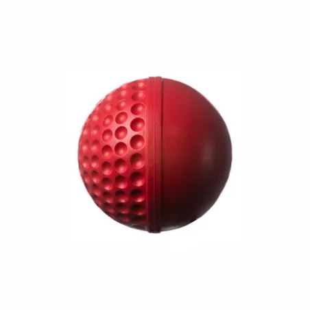 Balle de cricket Swinga Technique - Rouge