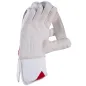 Grijze Nicolls GN500 Wicket Keeping-handschoenen (2021)