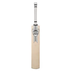 Newbery Renegade Spieler Junior Cricket Bat (2021)
