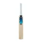 GM Diamond 909 Junior Cricket Bat (2022)