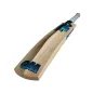 GM Diamond 101 Junior Cricket Bat (2023)