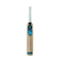 GM Diamond 101 Junior Cricket Bat (2023)