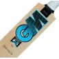 GM Diamond 101 Junior Cricket Bat (2023)