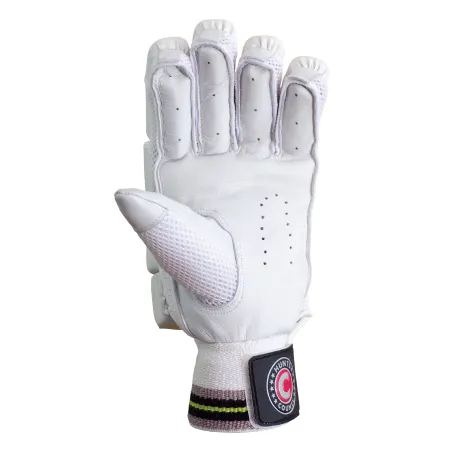 Hunts County Neo Cricket Gloves (2024)