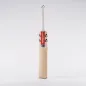 Gray Nicolls Alpha Gen 1.0 200 Junior Cricket Bat (2023)