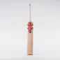 Gray Nicolls Alpha Gen 1.0 150 Junior Cricket Bat (2023)