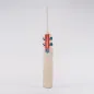 Gray Nicolls Alpha Gen 1.1 5 Star Lite Junior Cricket Bat (2023)