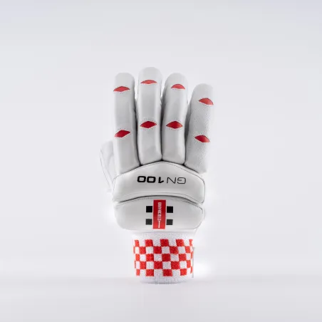 Gray Nicolls GN100 Cricket Gloves (2022)