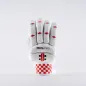 Gray Nicolls GN100 Cricket Gloves (2023)