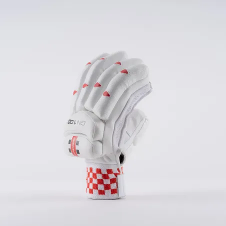 Gray Nicolls GN100 Cricket Gloves (2023)