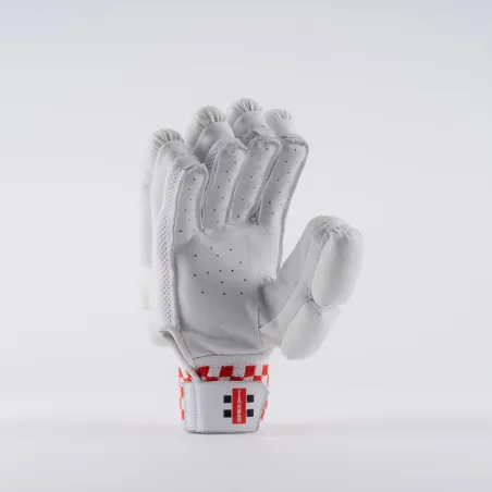 Gray Nicolls GN100 Cricket Gloves (2023)