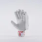 Gray Nicolls GN100 Cricket Gloves (2023)