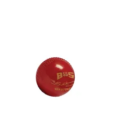 GM BS55 Trubounce Ball (2023)