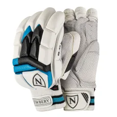 Newbery N 2.0 Cricket Gloves (2022)