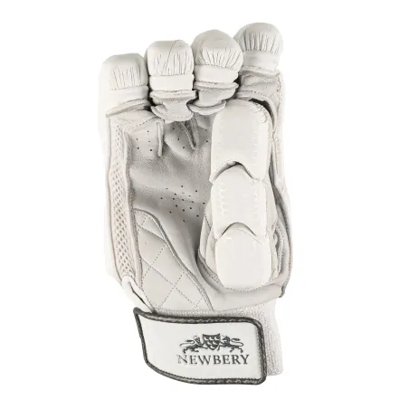 Newbery Player Cricket-Handschuhe (2022)
