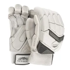 Newbery Player Cricket Gloves (2022)