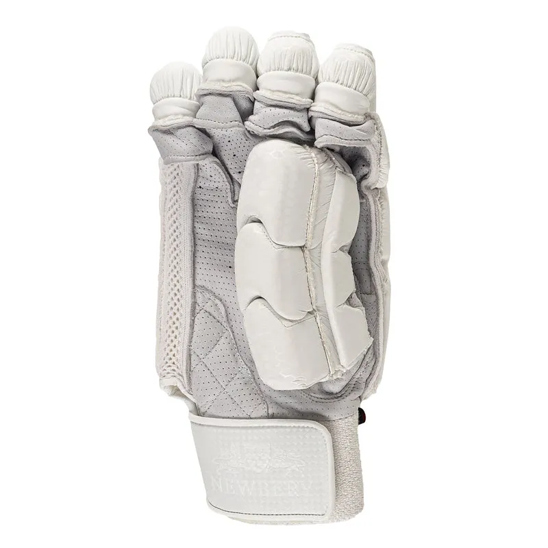 Newbery SPS Elite Cricket Gloves 2023