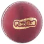 Kookaburra Paceball (2020)