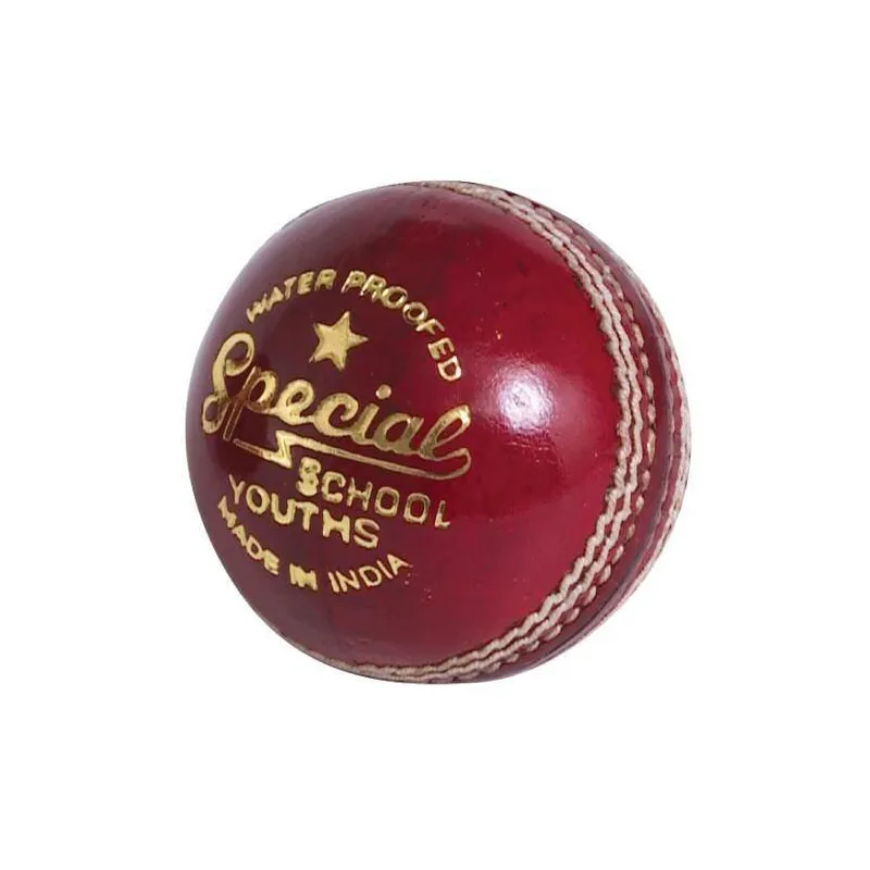 Readers Special School JUNIOR Cricket Ball