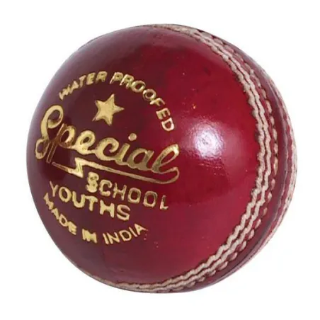 Pelota de cricket JUNIOR Special School de los lectores - Bolas