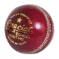 Readers Special School JUNIOR Cricket Ball