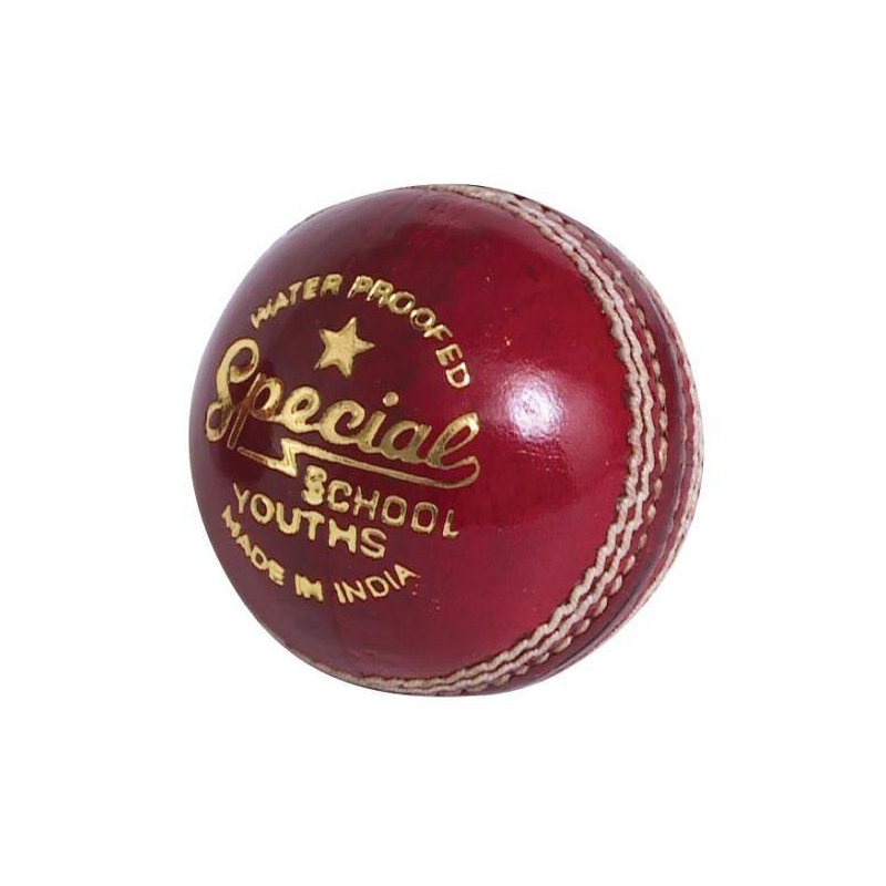 Pelota de cricket JUNIOR Special School de los lectores - Bolas