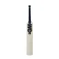 GM Hypa 404 Cricket Bat (2023)