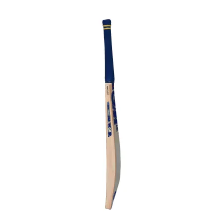 GM Brava 606 Cricket Bat (2023)