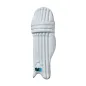 GM Diamond 404 Cricket Pads (2023)