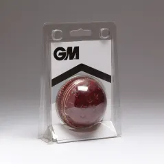GM Chevron Swing Cricket Bal (2023)