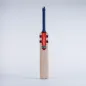 Gray Nicolls Hypernova Power Junior Cricket Bat (2023)