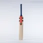 Gray Nicolls Hypernova Gen 1.0 Academy Junior Cricket Bat (2023)