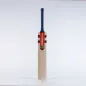 Gray Nicolls Hypernova Gen 1.0 Players Junior Cricket Bat (2023)